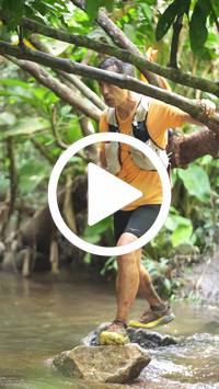 BIB:  <button type="button" onclick="openModal(27824271)" class="btn btn-primary btn-sm float-right" data-toggle="modal" data-target=".modal-high-quality">
                <i class="fa fa-download"></i> Download
                </button>